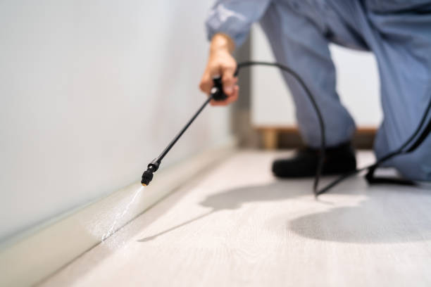 Licensed Cockroach Control service in Yorba Linda, CA - Nex Pest Control