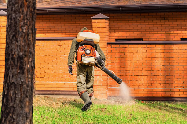 Trusted Bed Bug Control service in Yorba Linda, CA - Nex Pest Control
